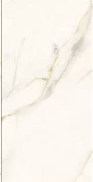 Time Dorado Matte 12 x 24